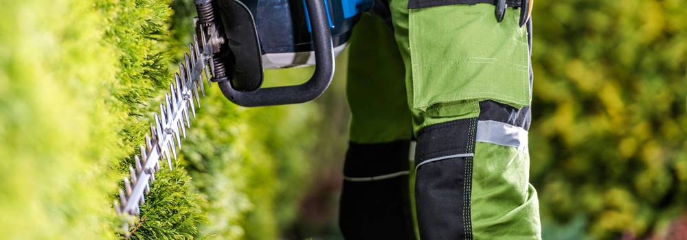 Grünraumpflege Peter Ackerbauer